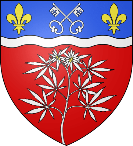 Ramoneur Chennevières-sur-Marne